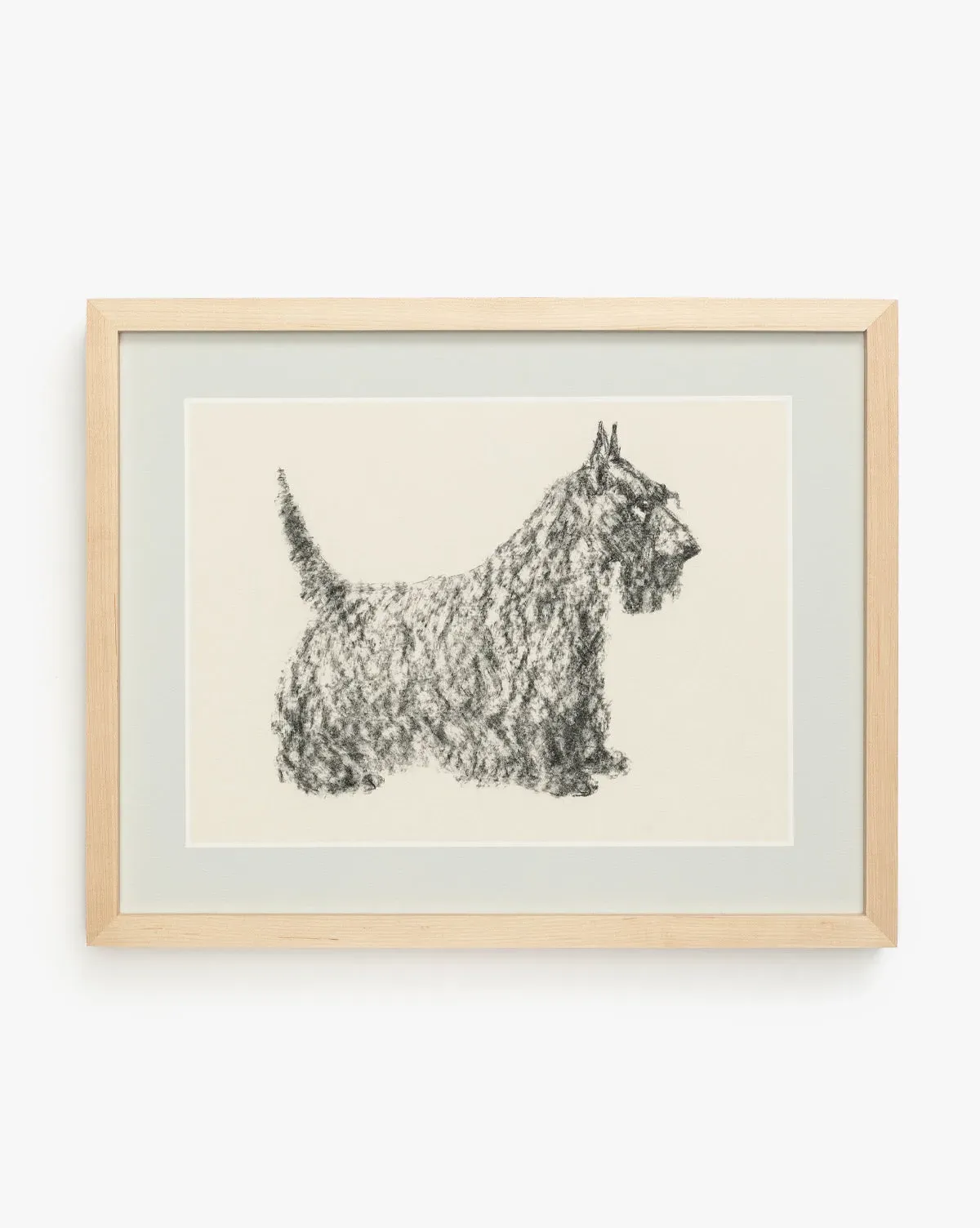 Finn Scottish Terrier Sketch Artwork product