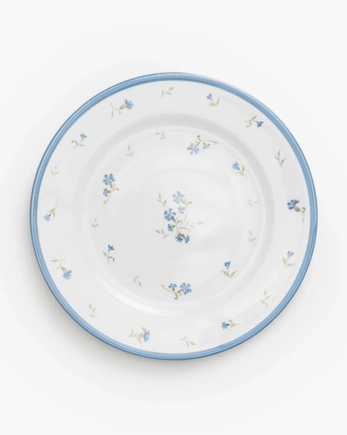 Hollingbury Melamine Outdoor Dinner Plates Set of 4 product