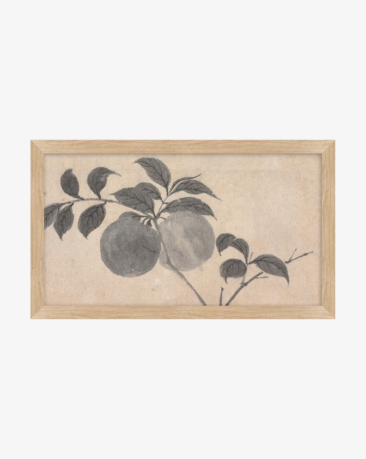 Inked Branches II Giclee Canvas Print - Natural Wood Frame product