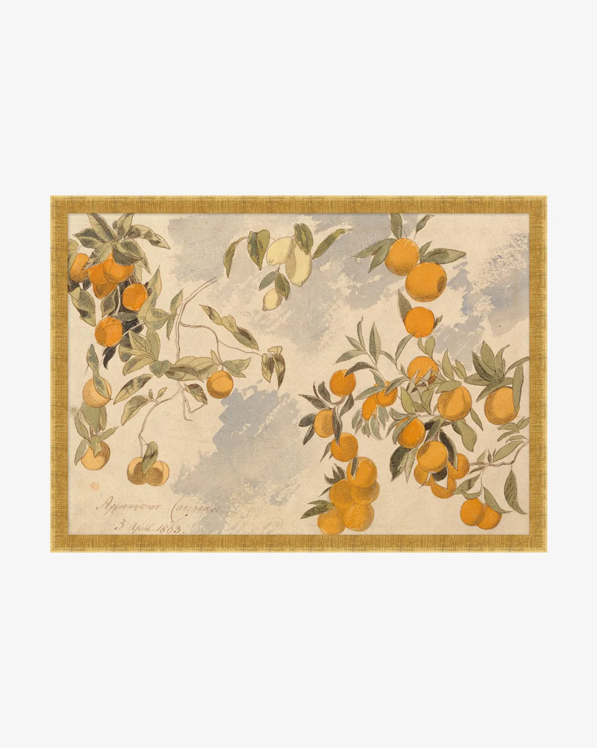Lemons & Oranges Framed Wall Art product