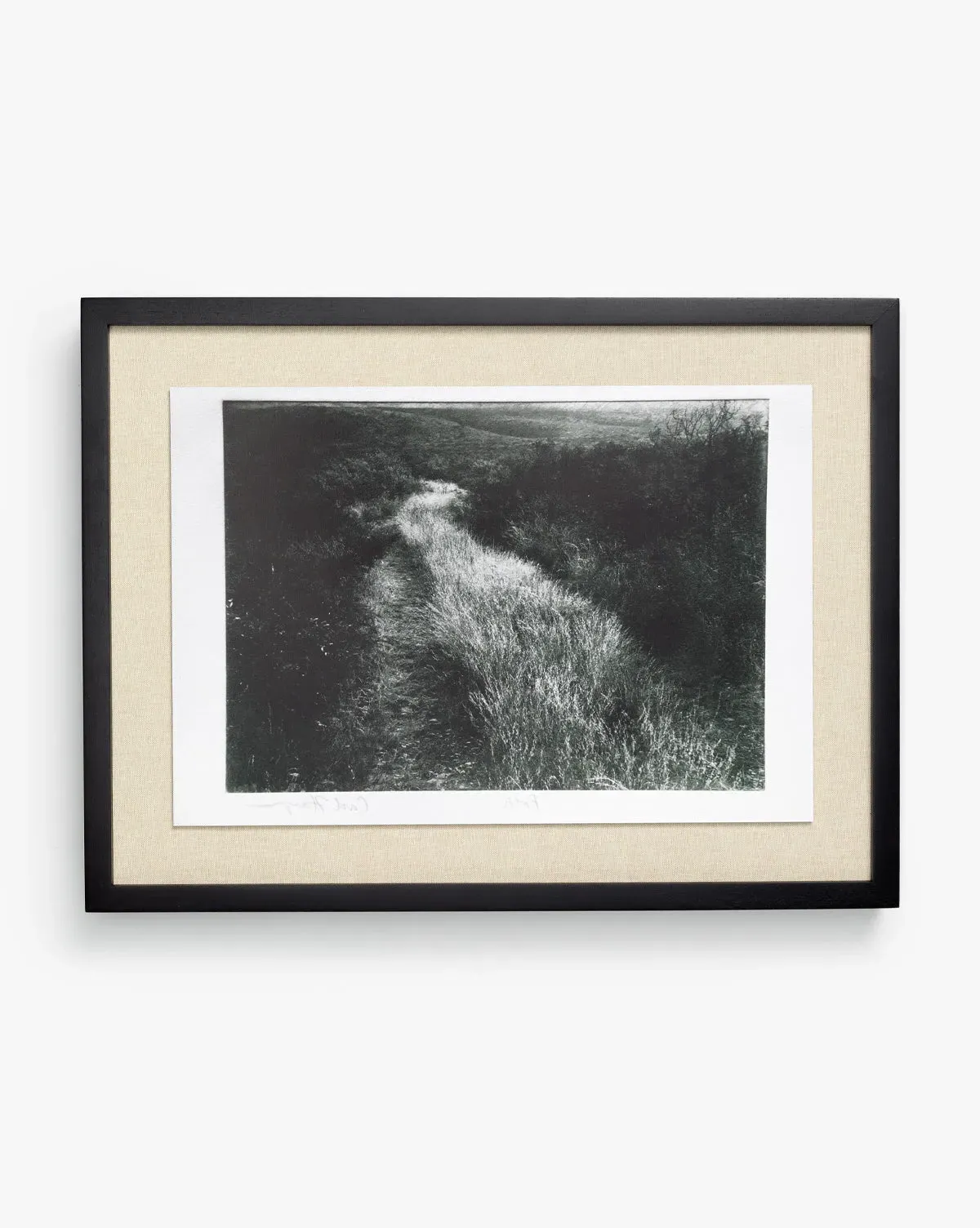 Muted Path Green Carol Haymon Framed Artwork - Black & White product