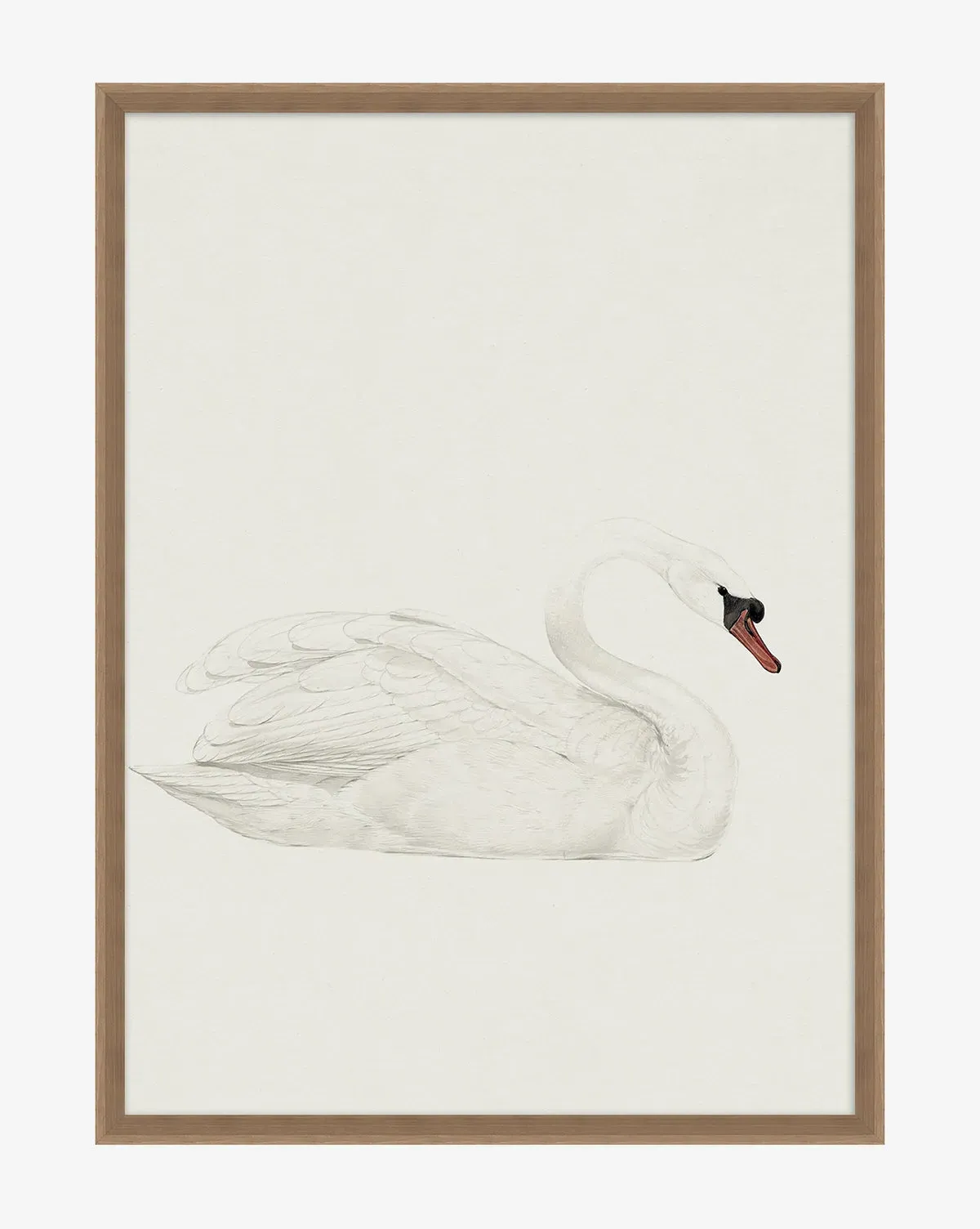 Neutral Swan Giclee Print - Canvas, Walnut Frame product