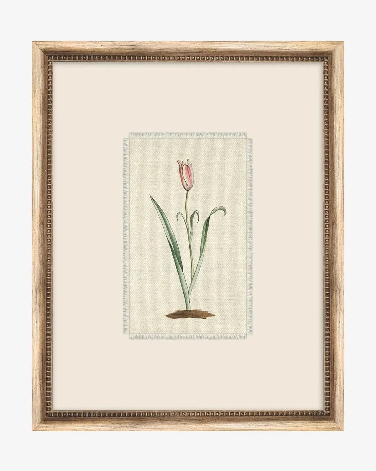 Petite Floral I Framed Giclee Print - Silver product