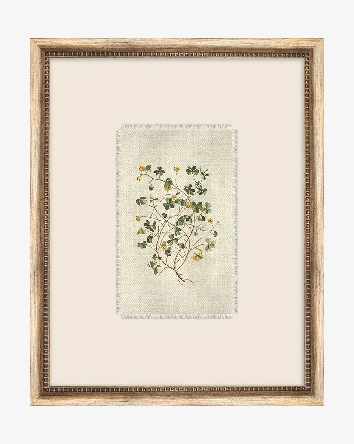 Petite Floral II Framed Giclee Print - Silver product