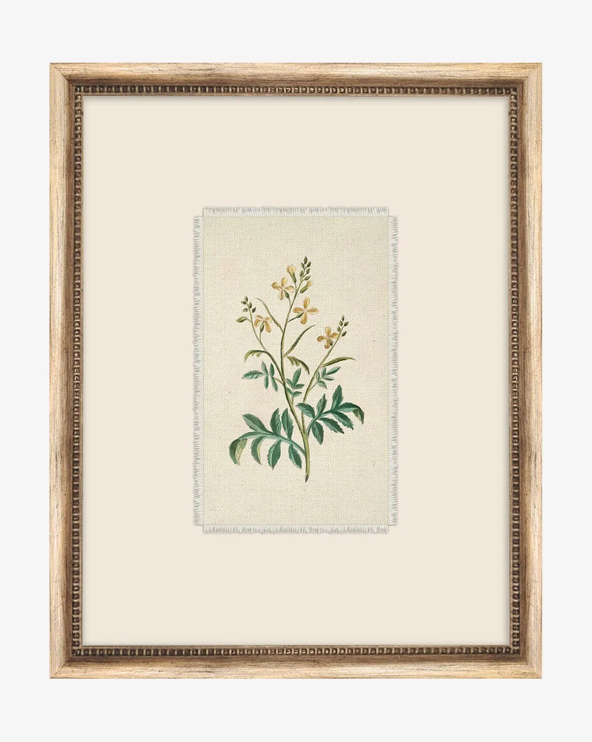 Petite Floral IX Framed Giclee Print - Silver product