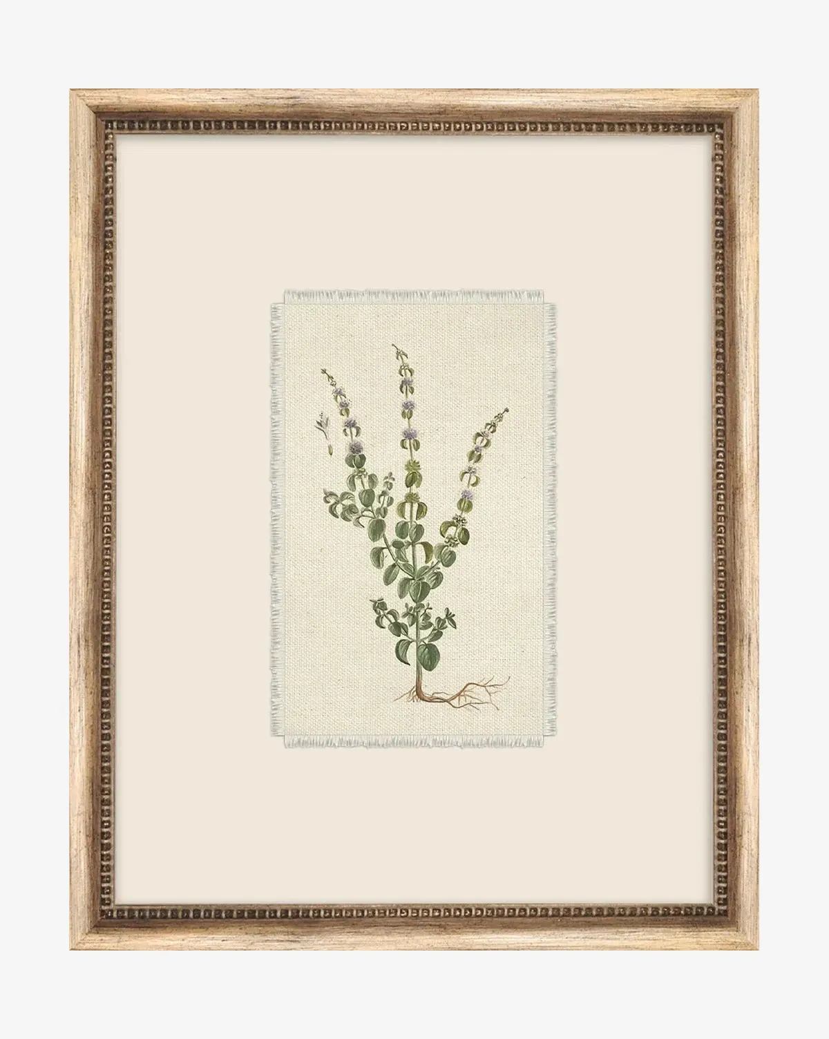 Petite Floral VI Framed Giclee Print - Silver product