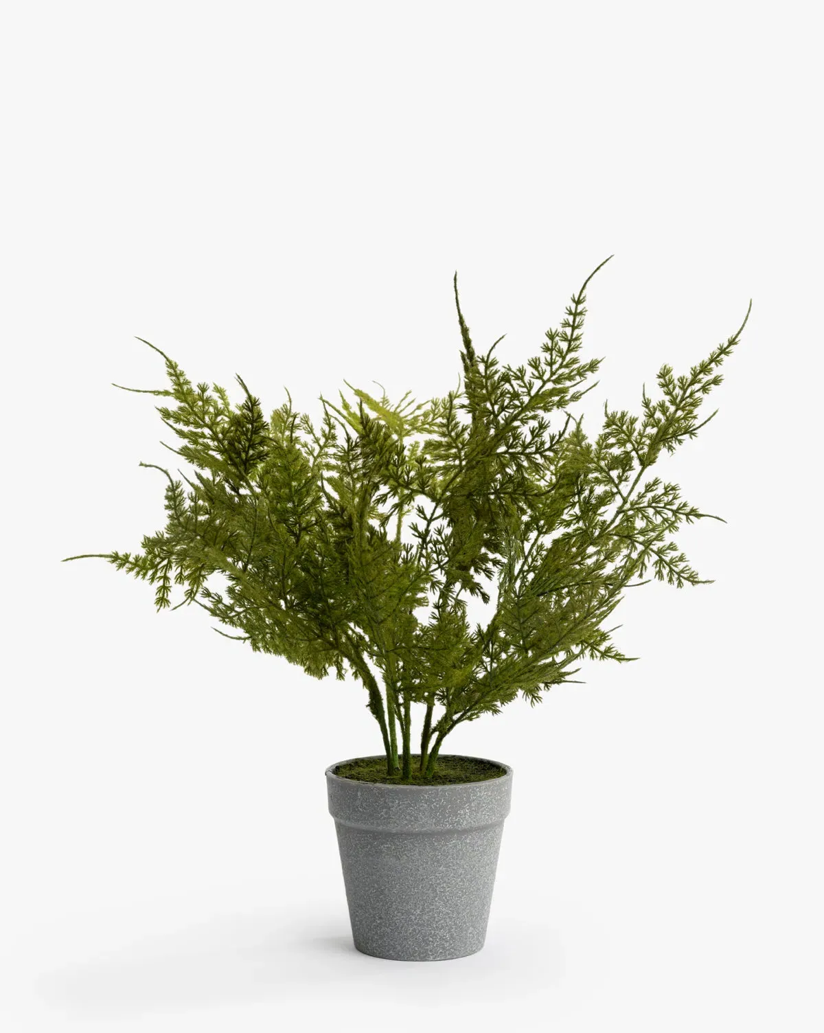 Plumosa Fern Drop-In Small Artificial Plant product