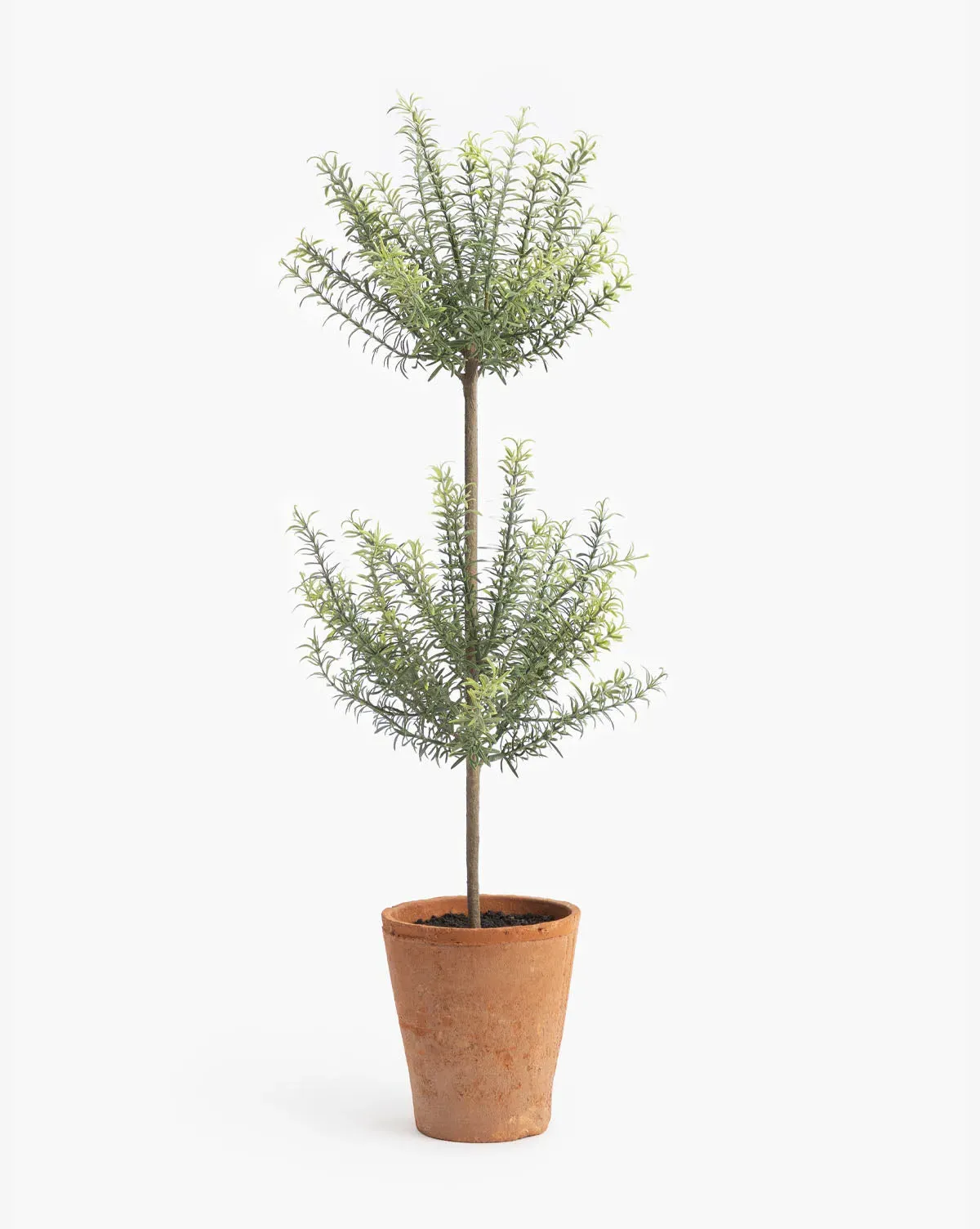 Potted Faux Rosemary Topiary - Large product