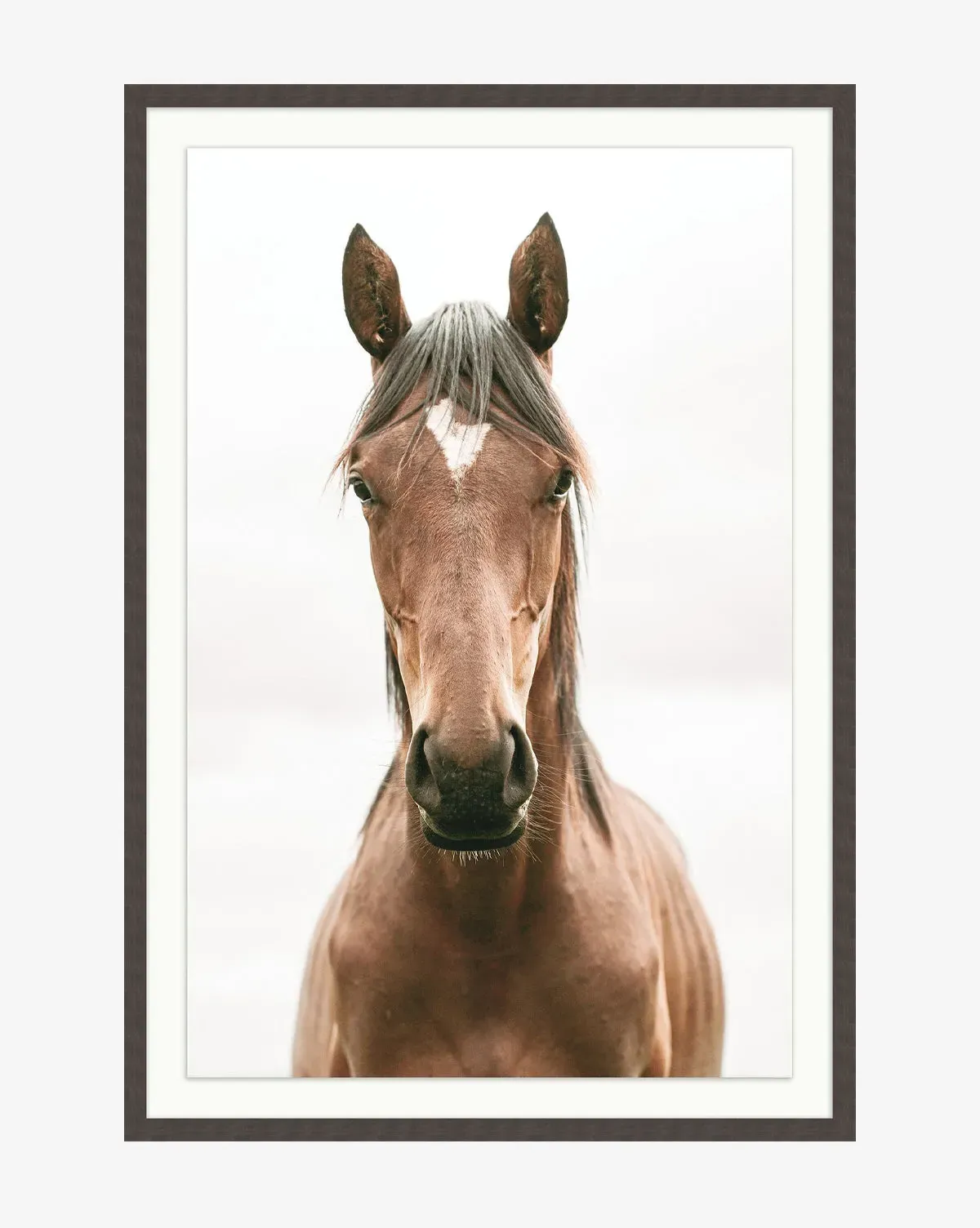Presence by Stokley Berg Framed Giclee Print - Black product