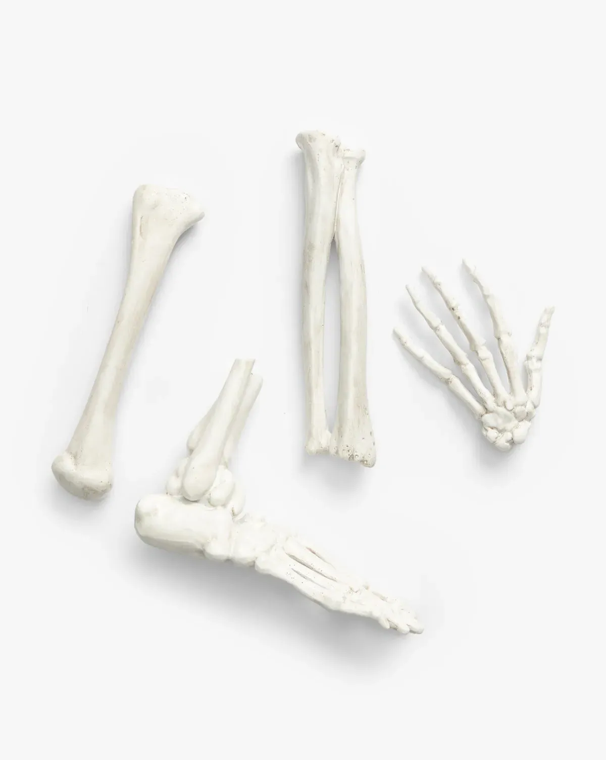 Resin Skeleton Bones Set of 4 with Drawstring Bag - White, Resin product