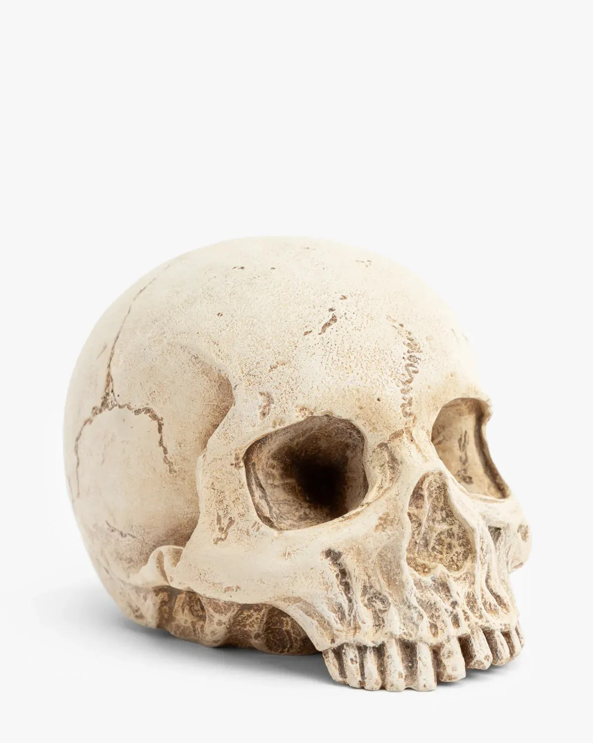 Resin Skull Decorative Object - Matte product