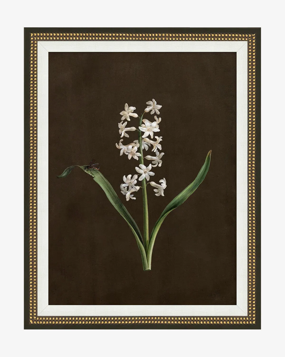 Sepia Sprouts I Framed Wall Art - Gold, Matte Paper product