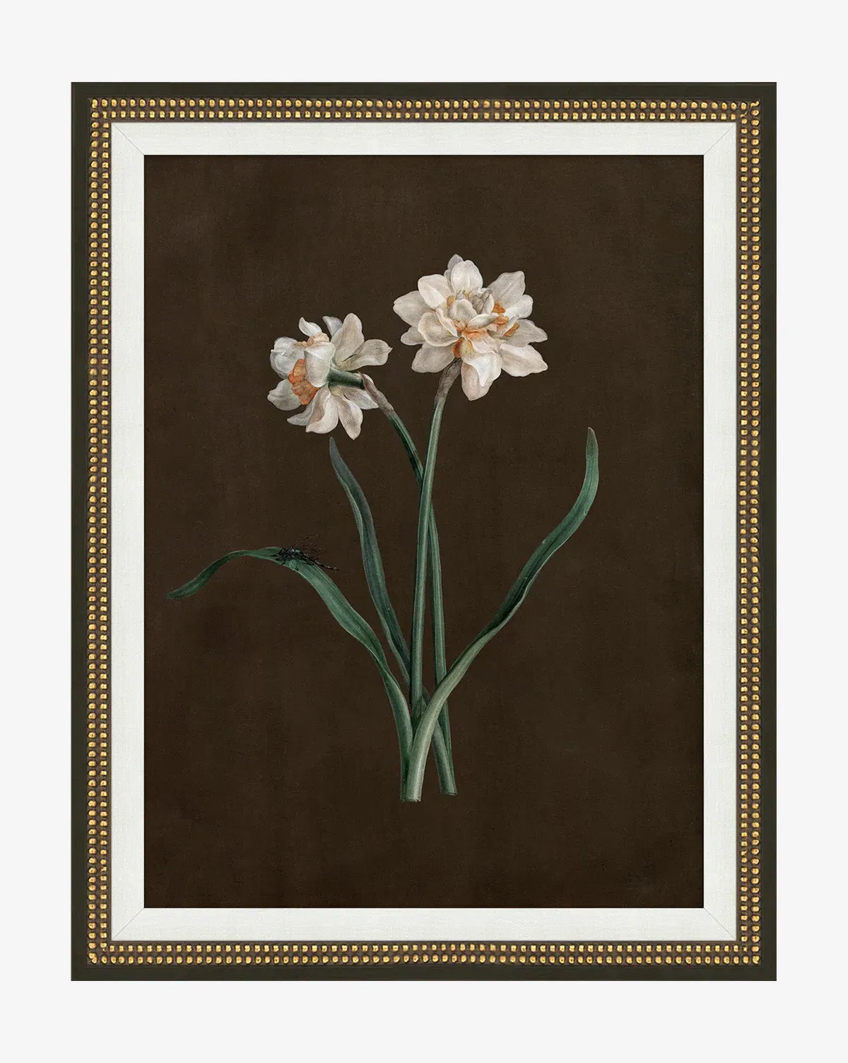 Sepia Sprouts III Framed Wall Art - Gold, Matte product