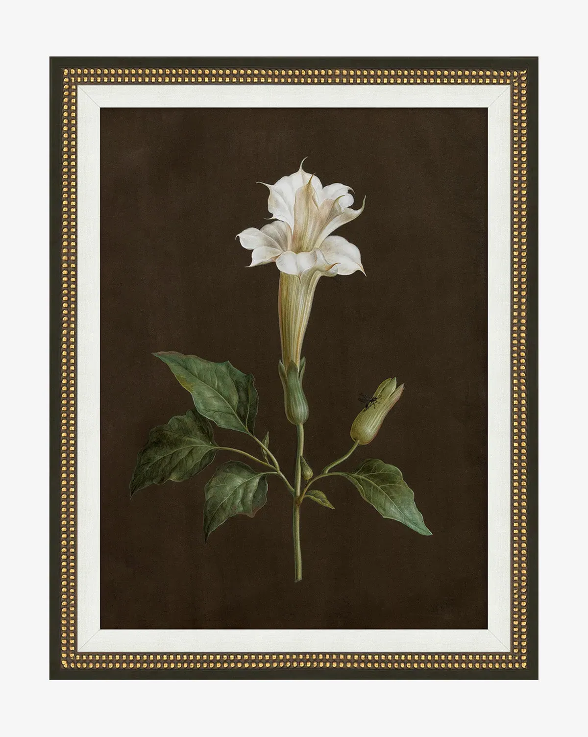 Sepia Sprouts IV Framed Wall Art - Gold, Wood product
