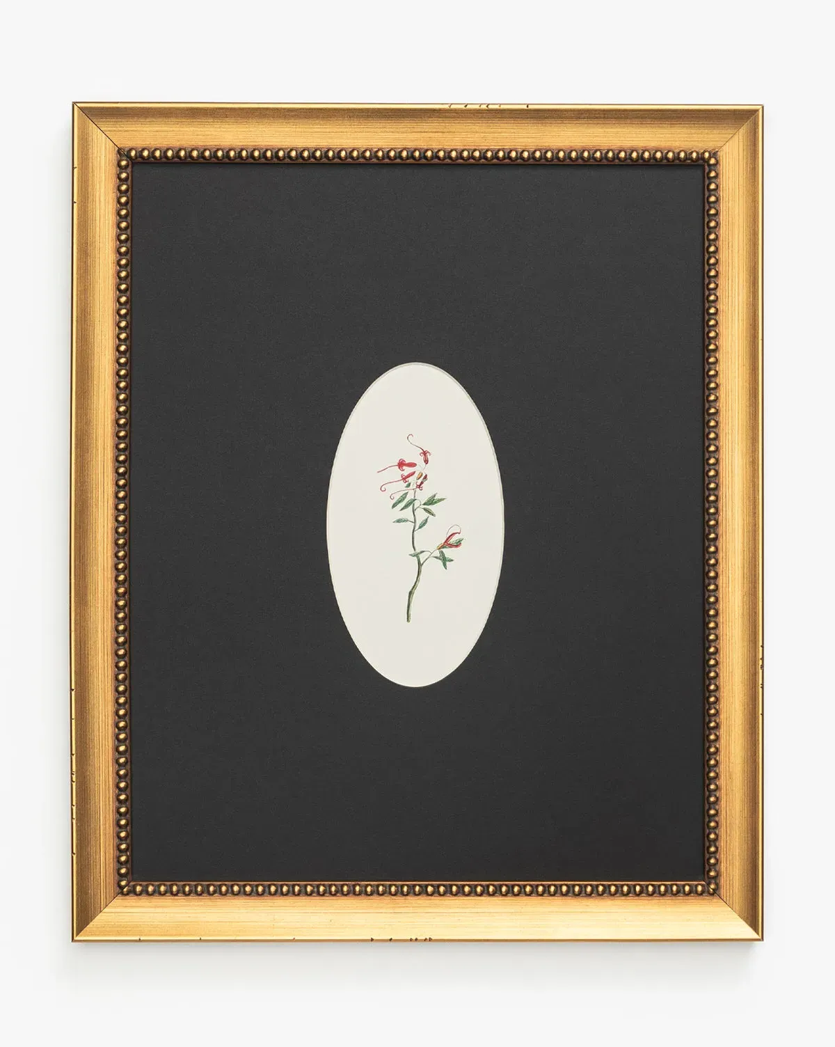 Single Blooms 2 Framed Print - Gold, Matte product