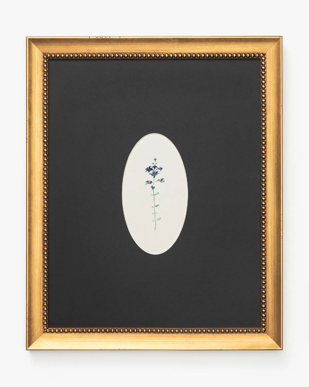 Single Blooms 3 Framed Botanical Print - Gold, Matte product