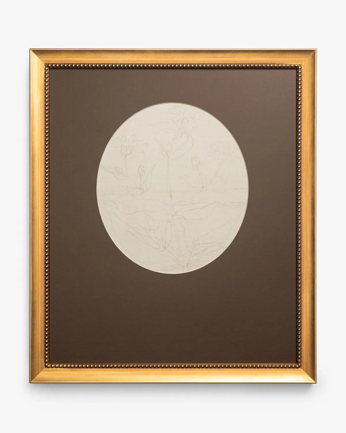 Sketch on Sketch Circular Botanical Framed Print - Gilt product