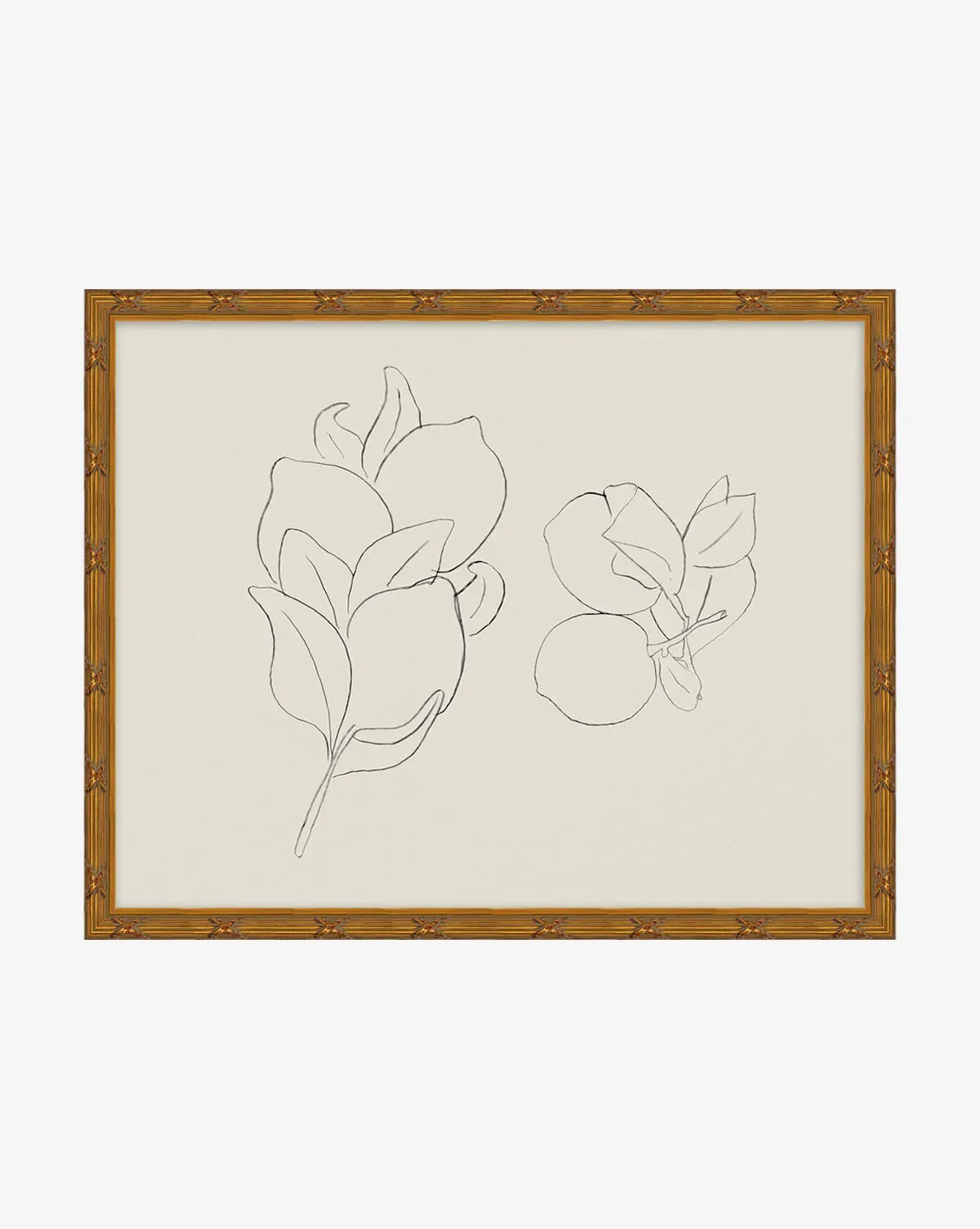 Sketched Fruit II Art Print product