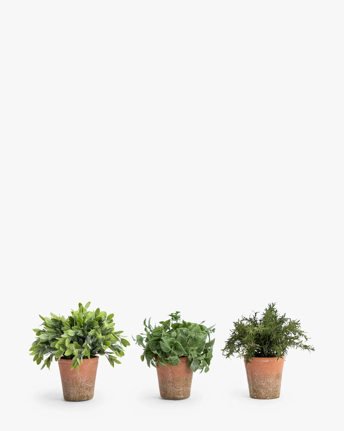 Soft Potted Herbs Set of 3 - Clay product