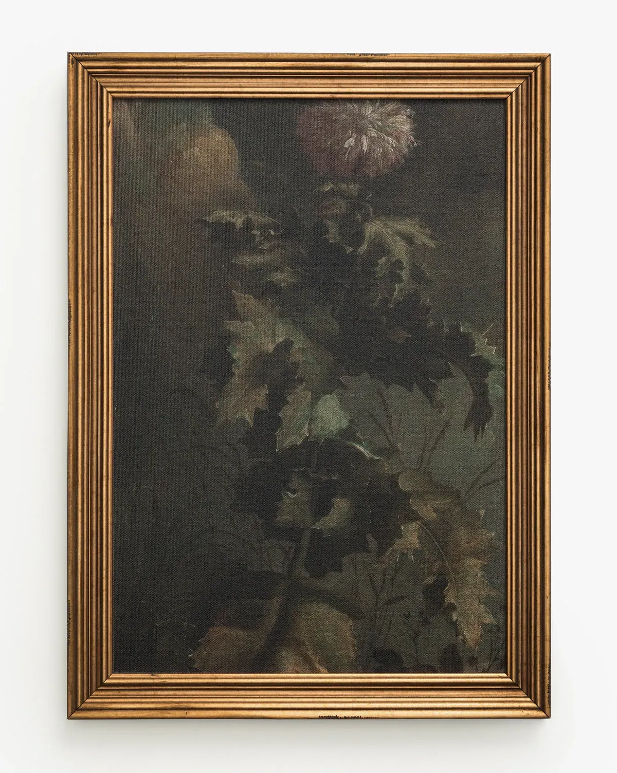 Thistle Down Framed Canvas Wall Art - Antique Gold product
