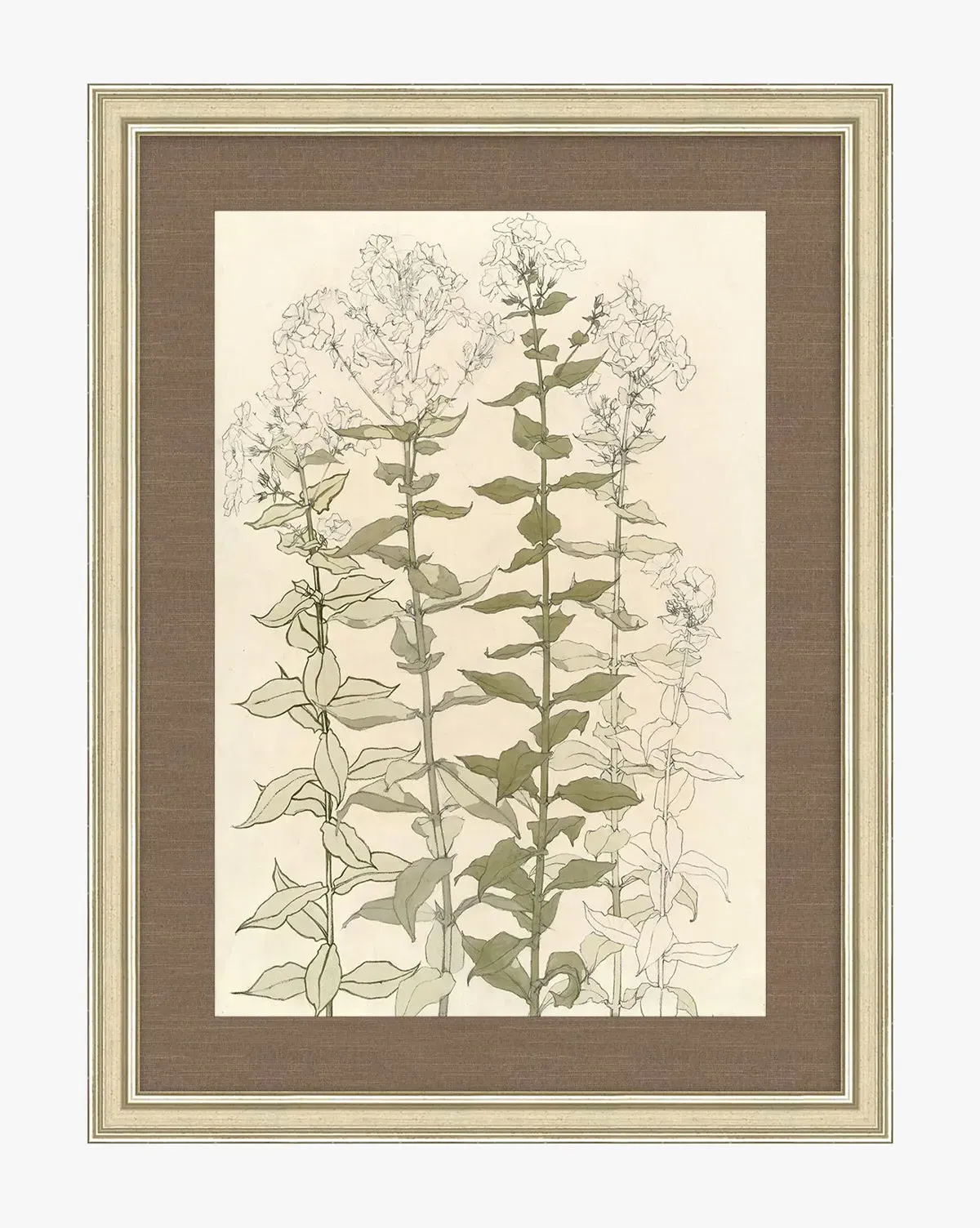 Timeless Sprigs Framed Botanical Print - Silver product