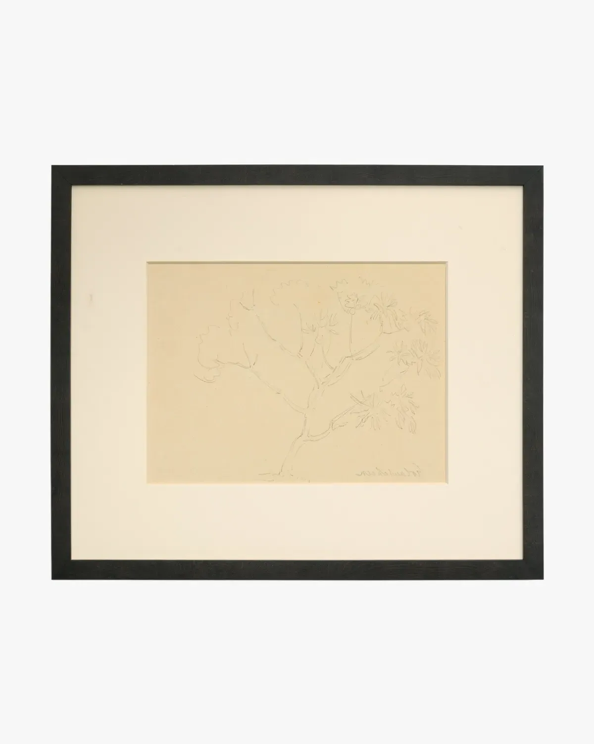 Tree Sketching Wall Art - Pencil product