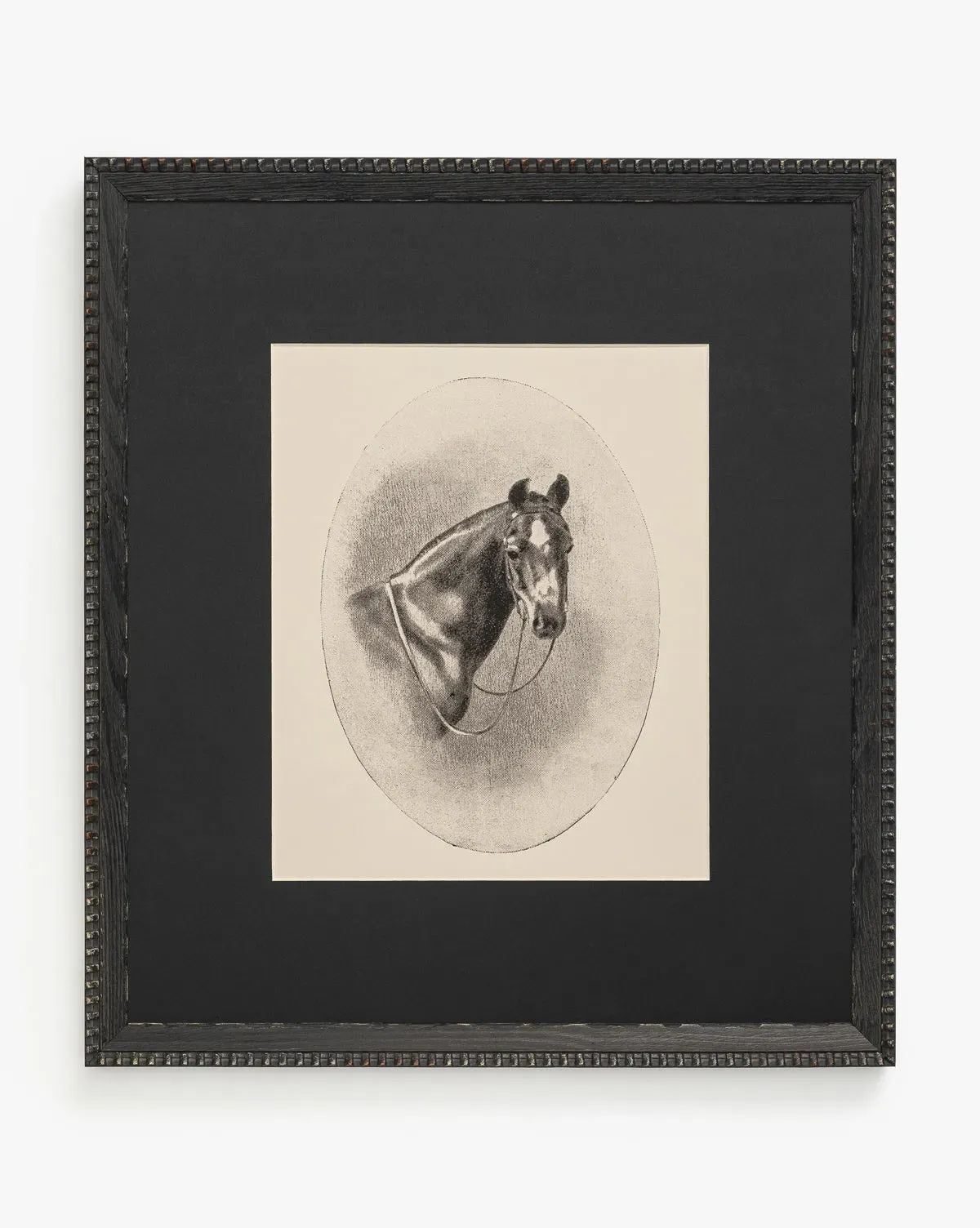 Winnie Horse Portrait Artwork - Black Frame product