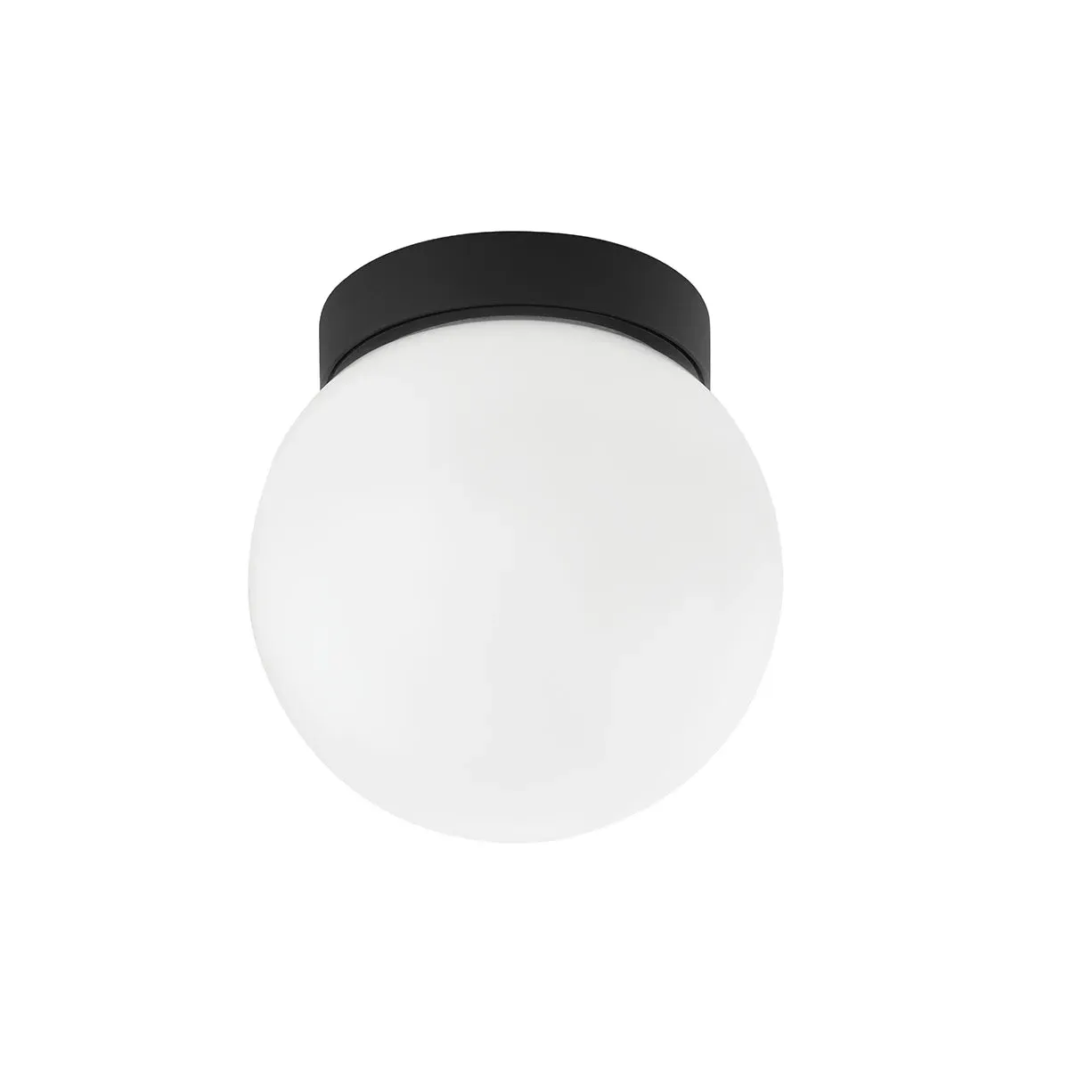 Glass Globe Flush Mount Wall & Ceiling Light - Black product
