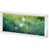 Acrylic Magnetic Photo Frame Panorama - Clear, Acrylic by Muji, image 4