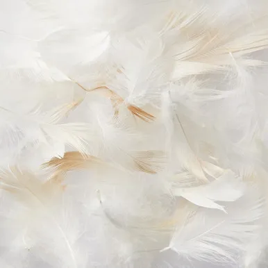 Feather Pillow - 43 x 63 cm alternate view