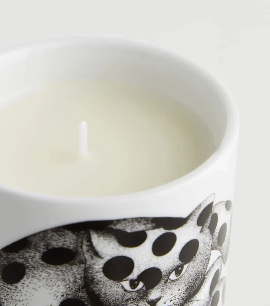 High Fidelity Scented Candle - Black, Porcelain