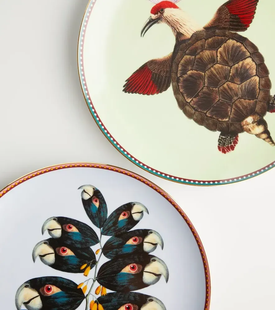 Turtlair Decorative Plate - Multicolor, Porcelain