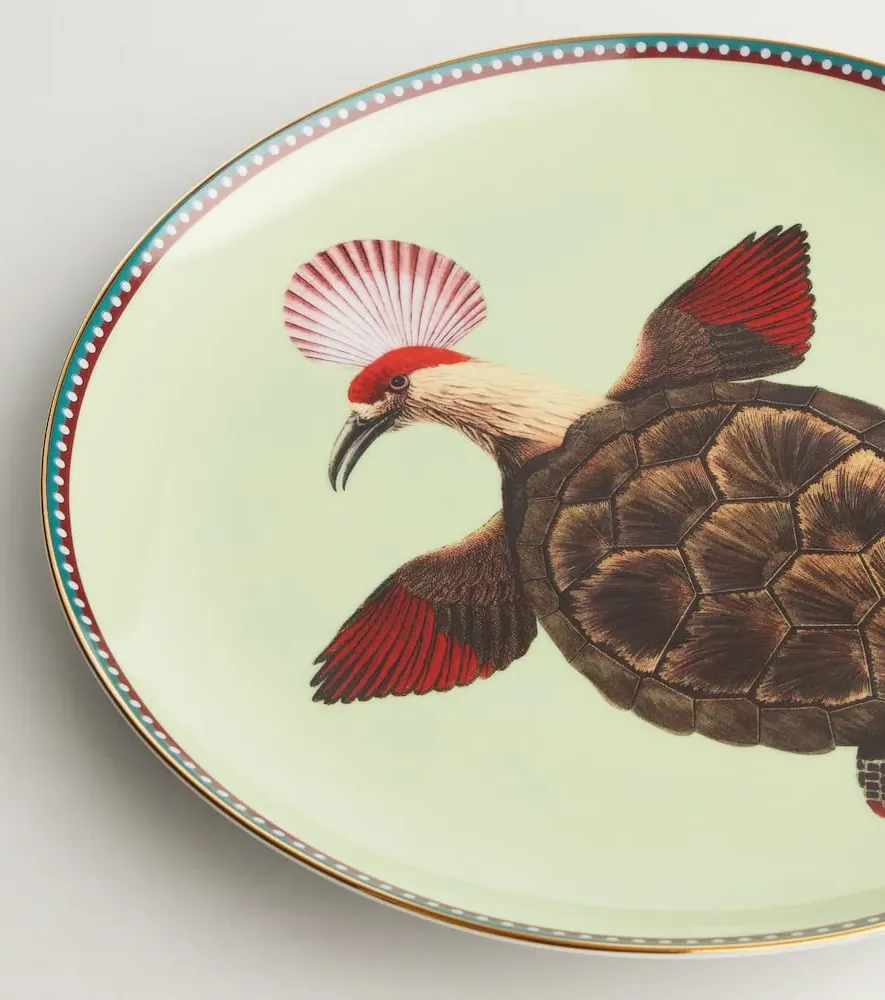 Turtlair Decorative Plate - Multicolor, Porcelain