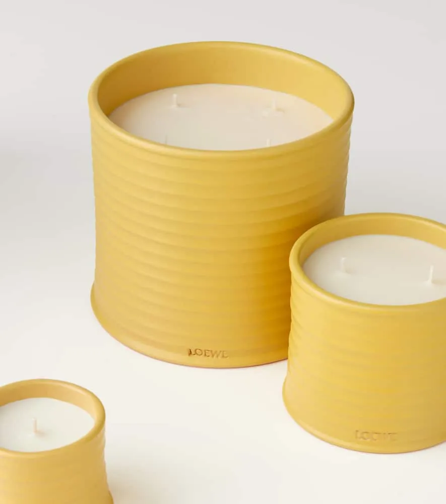 Honeysuckle Large Scented Candle - Wax