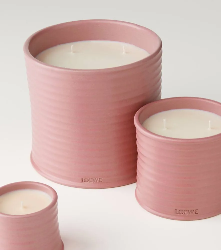 Ivy Medium Candle - Pink, Wax