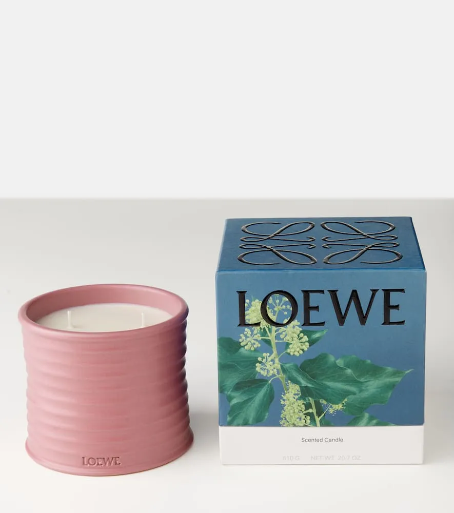 Ivy Medium Candle - Pink, Wax image