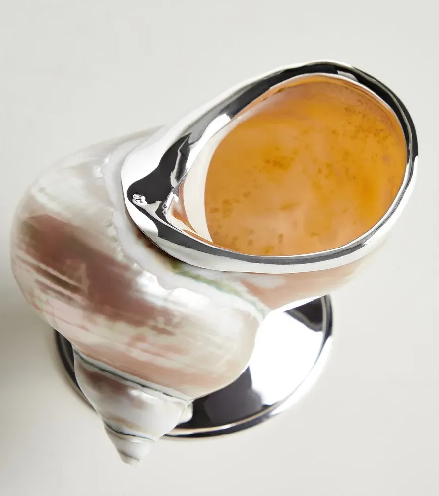 Shell Sugar Bowl - Sterling Silver, Turbo Imperialis Shell by Mytheresa, image 4