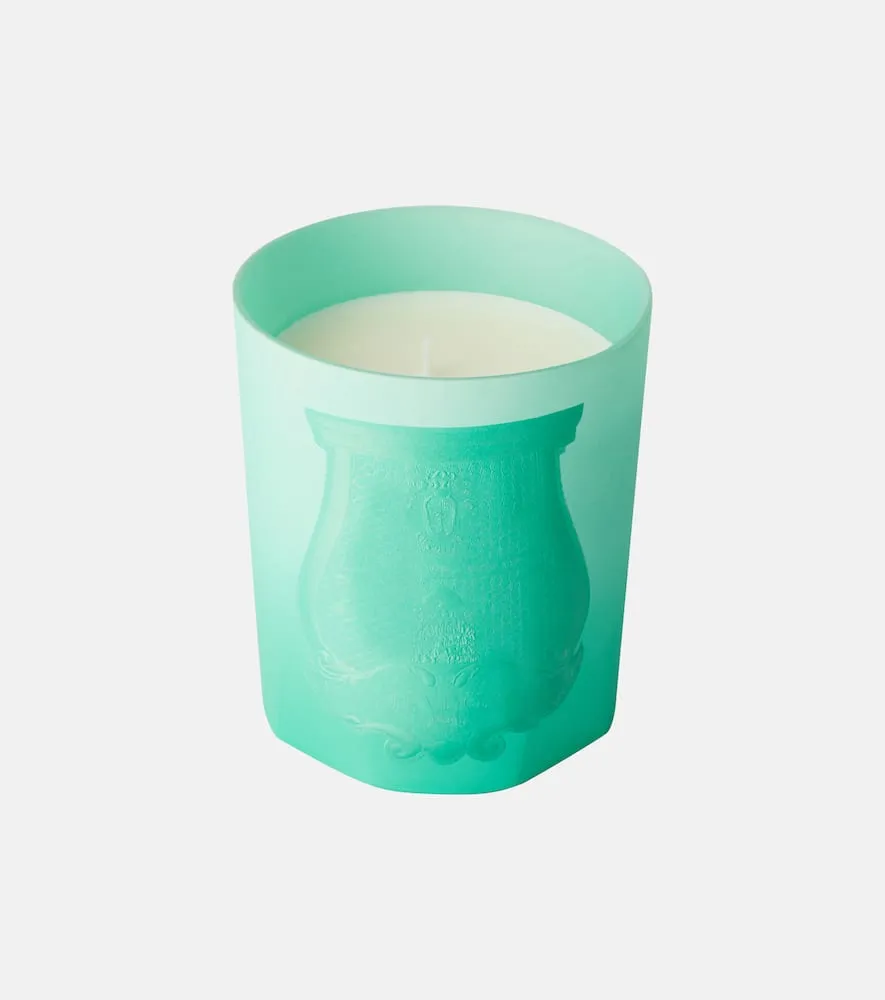 Under The Trees Scented Candle - Green