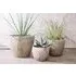 Affiti Medium Clay Planter - Antique Grey