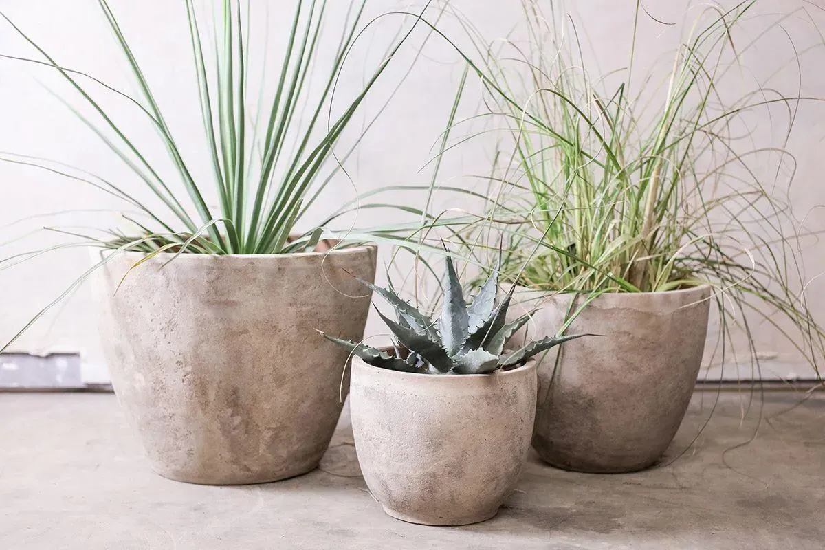 Affiti Medium Clay Planter - Antique Grey image