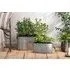 Akasa Small Trough Planter - Zinc