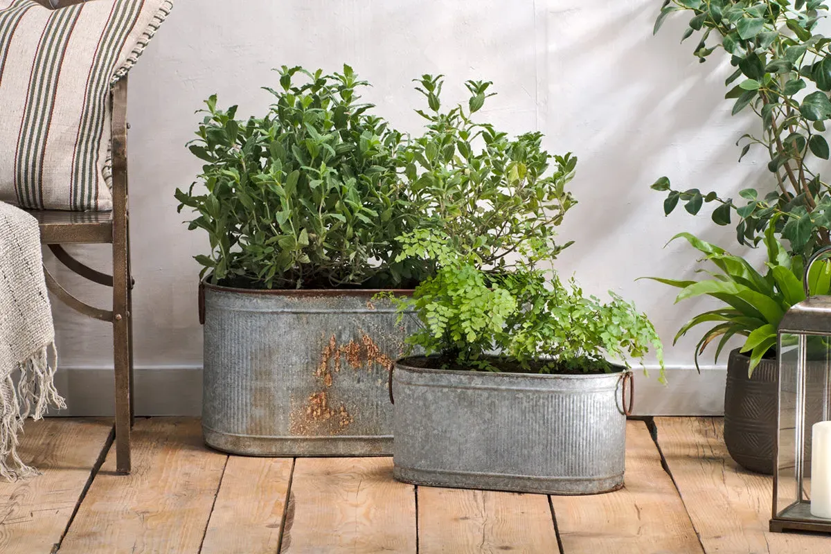 Akasa Small Trough Planter - Zinc image
