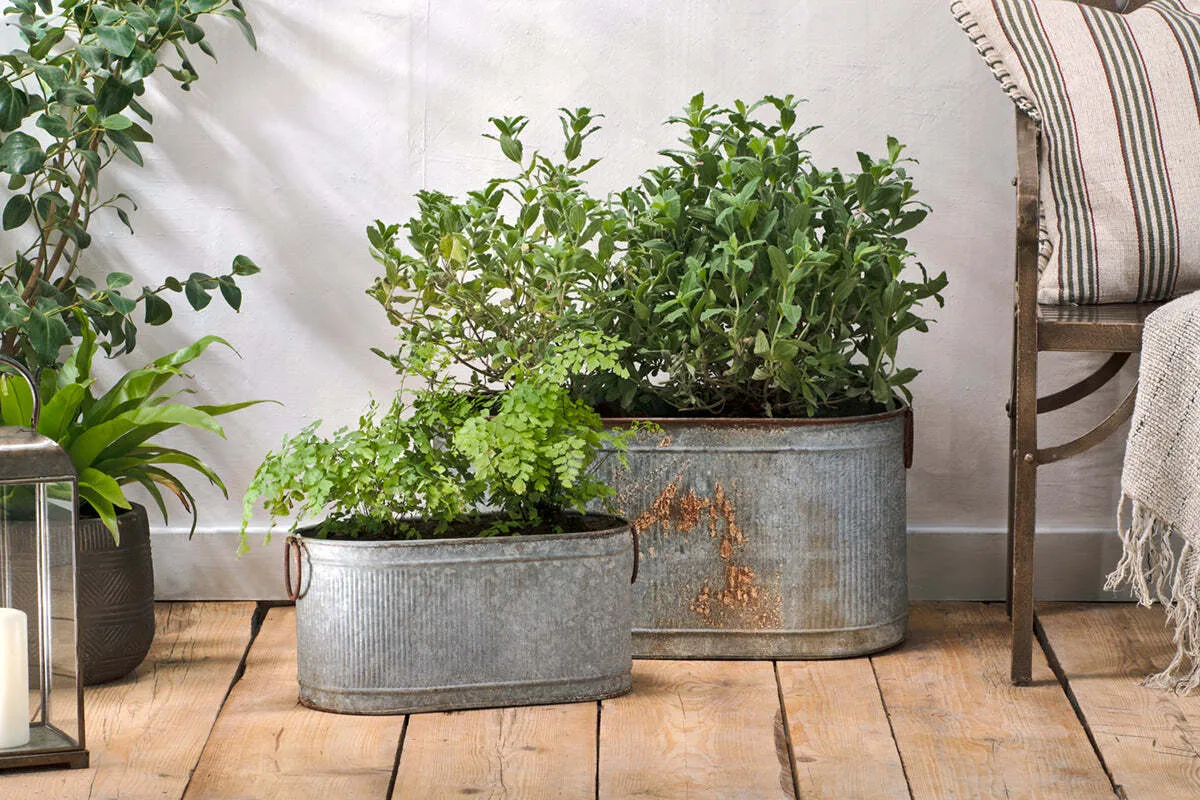 Akasa Small Trough Planter - Zinc, Iron product