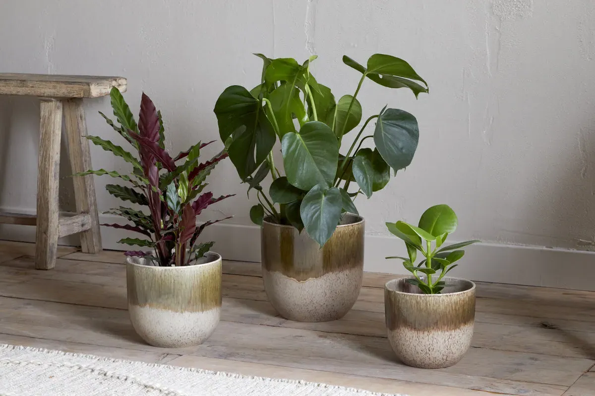 Almeida Large Plant Pot - Olive, Reactive Glaze