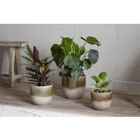 Almeida Medium Plant Pot - Olive, Reactive Glaze