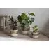 Almeida Small Plant Pot - Olive, Reactive Glaze
