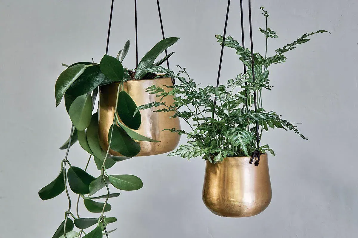 Atsu Small Hanging Planter - Antique Brass product
