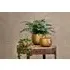 Atsu Large Hanging Planter - Antique Brass