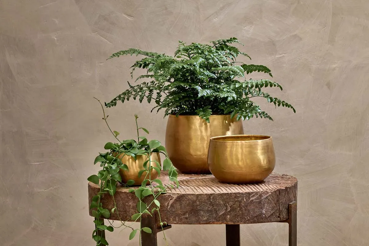 Atsu Large Hanging Planter - Antique Brass