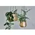 Atsu Small Hanging Planter - Antique Brass